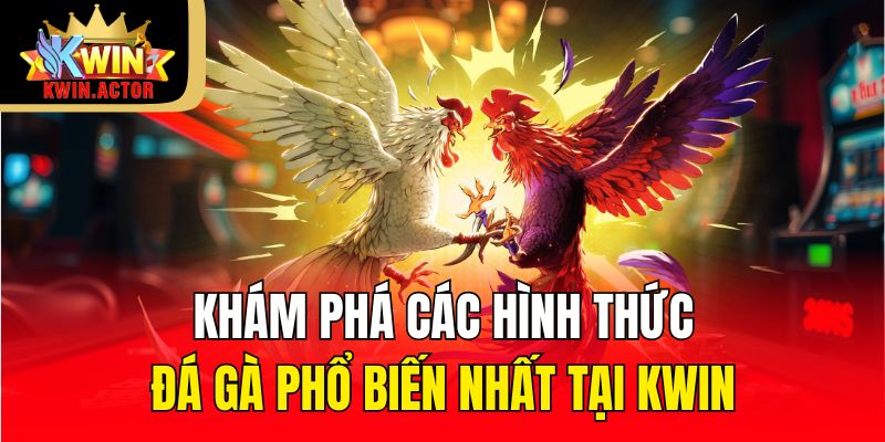 Đá Gà 1 Khám phá các hình thức đá gà phổ biến nhất tại KWIN