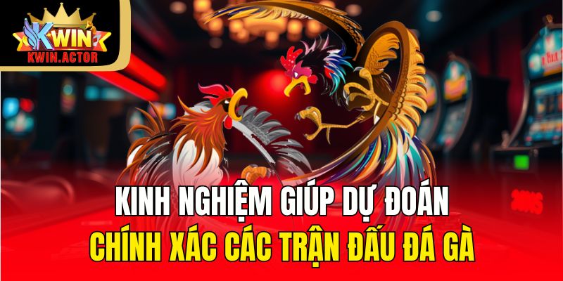 Đá Gà 3 Kinh nghiệm giúp dự đoán chính xác các trận đấu đá gà