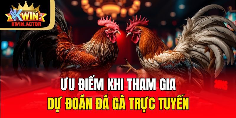 Đá Gà 2 Ưu điểm khi tham gia dự đoán đá gà trực tuyến